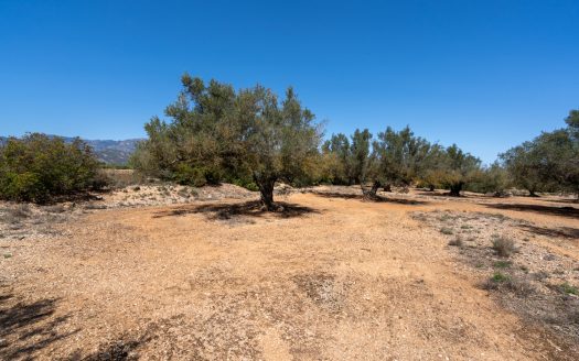 Property near the canal (37)