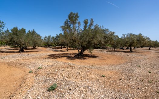 Property near the canal (37)