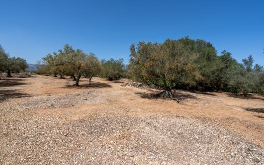 Property near the canal (37)