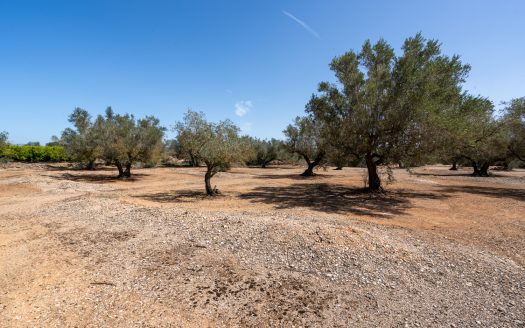 Property near the canal (37)