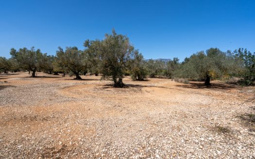 Property near the canal (37)