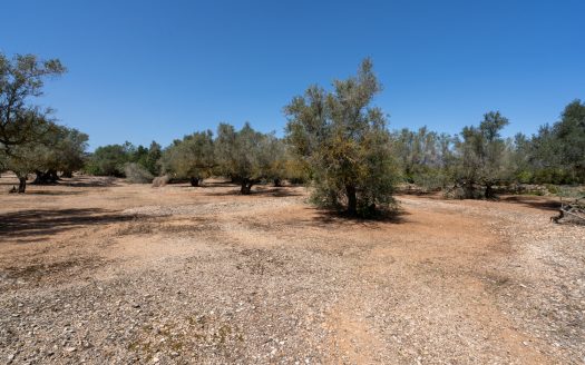 Property near the canal (37)