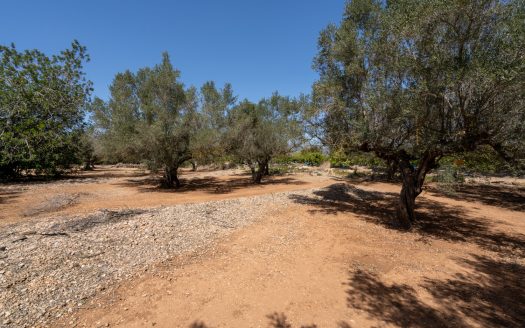 Property near the canal (37)