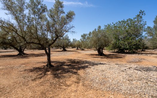 Property near the canal (37)