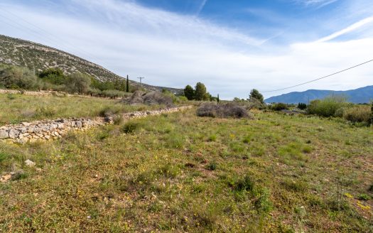 Wild piece of land with a ruin (46)