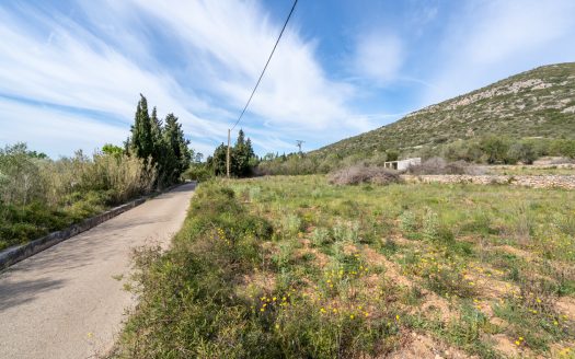 Wild piece of land with a ruin (46)