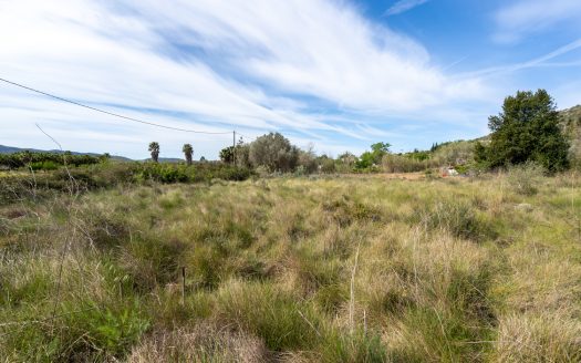 Wild piece of land with a ruin (46)