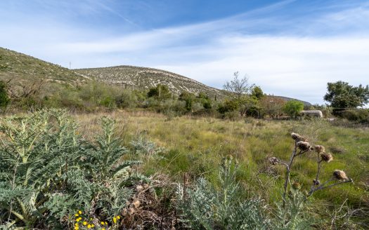 Wild piece of land with a ruin (46)