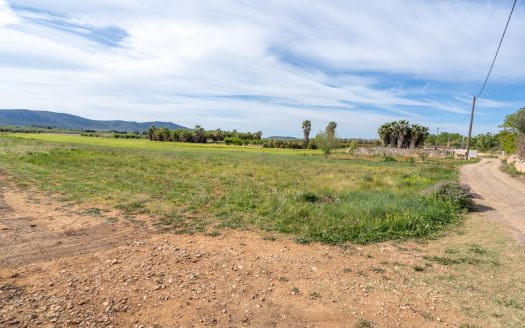 Wild piece of land with a ruin (46)