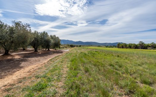 Wild piece of land with a ruin (46)