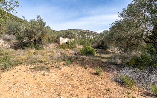 Wild piece of land with a ruin (46)