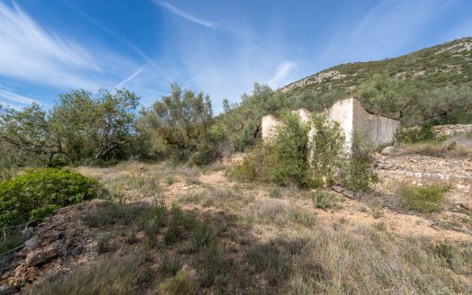 Wild piece of land with a ruin (46)