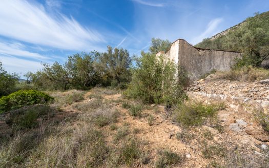 Wild piece of land with a ruin (46)