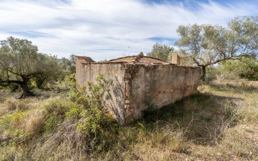 Wild piece of land with a ruin (46)