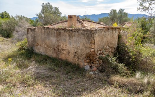 Wild piece of land with a ruin (46)