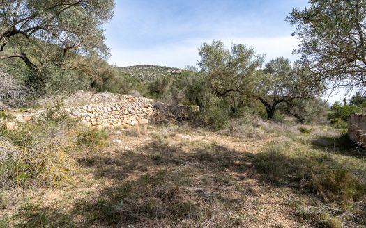 Wild piece of land with a ruin (46)