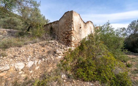 Wild piece of land with a ruin (46)