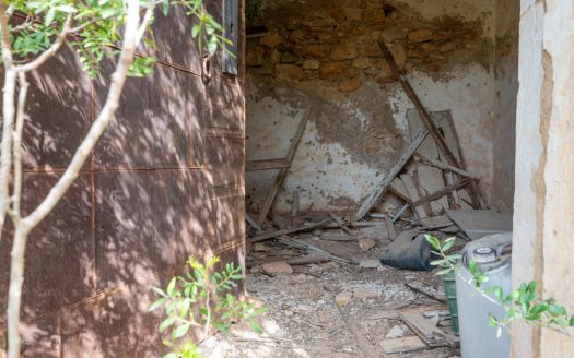 Wild piece of land with a ruin (46)
