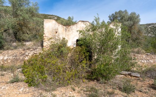 Wild piece of land with a ruin (46)