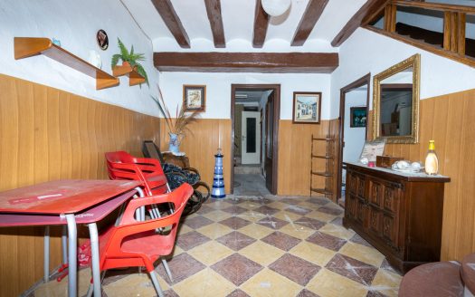 An old roomy house (45)