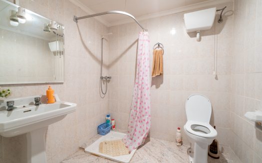 An old roomy house (45)