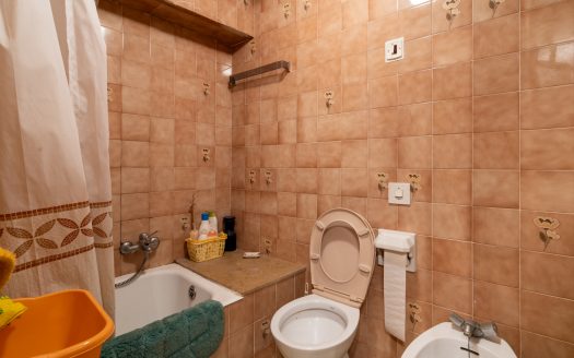 An old roomy house (45)