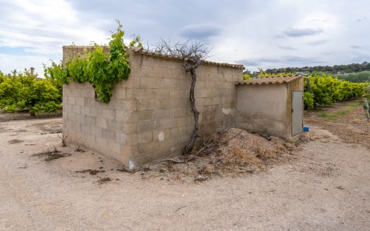 Country house near the Ebro river (43)
