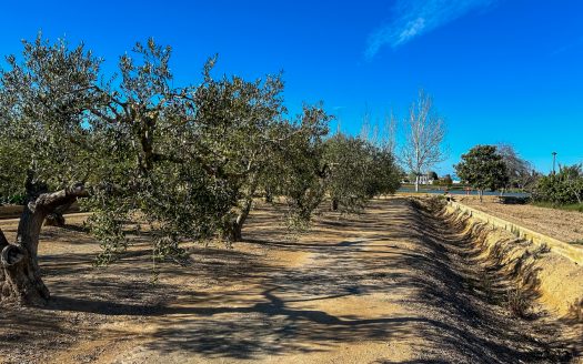 Property near the river (38)