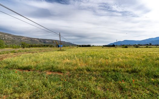 Big land next to the road (53)
