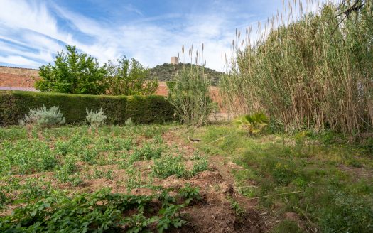Vegetable patch in the urban planning (48)