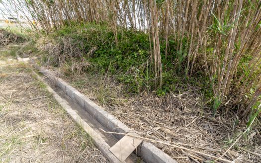 Vegetable patch in the urban planning (48)