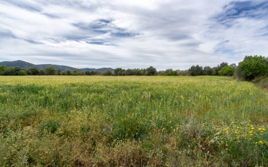 Flat land near the motorway (54)