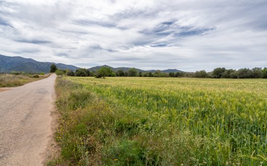 Flat land near the motorway (54)