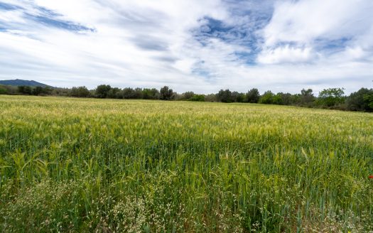 Flat land near the motorway (54)