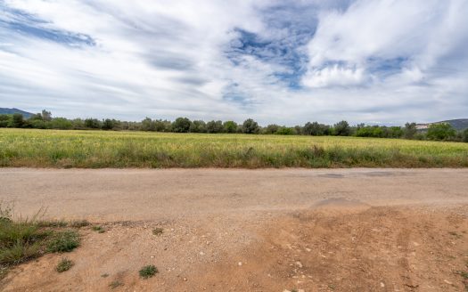 Flat land near the motorway (54)