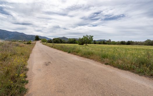 Flat land near the motorway (54)