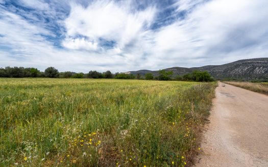 Flat land near the motorway (54)