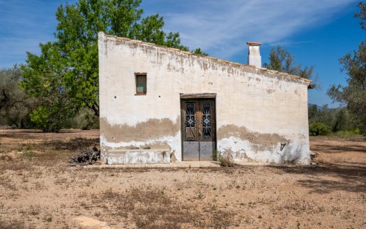 Una finca en un lugar aislado (57)