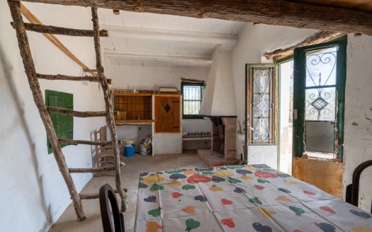 Una finca en un lugar aislado (57)