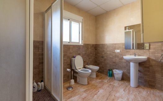 Un pis diferent prop de Tortosa (65)