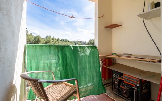 Un pis diferent prop de Tortosa (65)