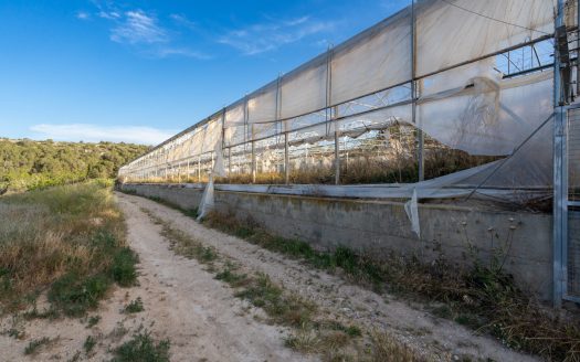 Un projecte agrícola (72)