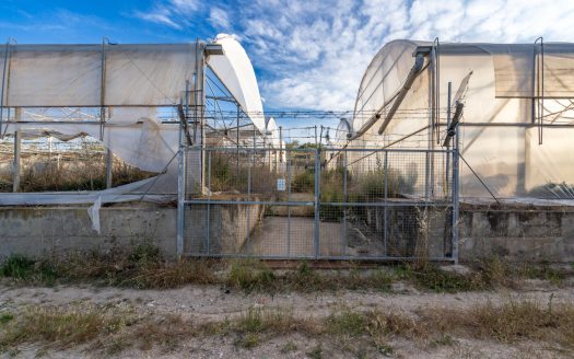 Un projecte agrícola (72)