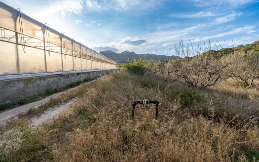 Un projecte agrícola (72)