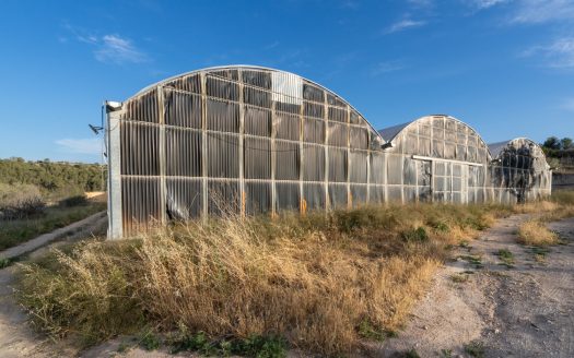 Un projecte agrícola (72)