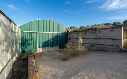 Un projecte agrícola (72)
