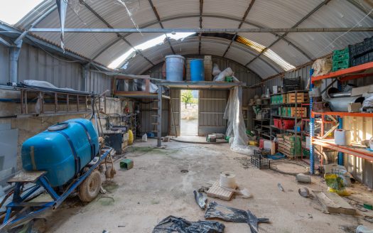 Un projecte agrícola (72)