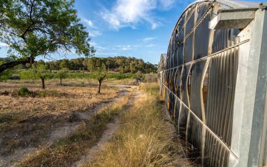 Un projecte agrícola (72)