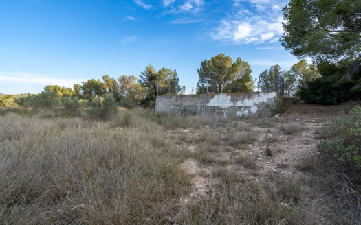 Un projecte agrícola (72)