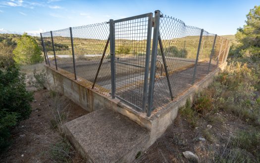 Un projecte agrícola (72)
